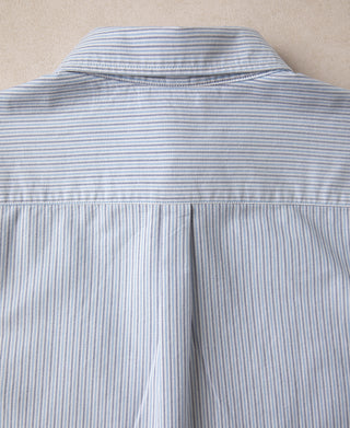 Blue-and-white striped oxford button-down shirt back with yoke seam